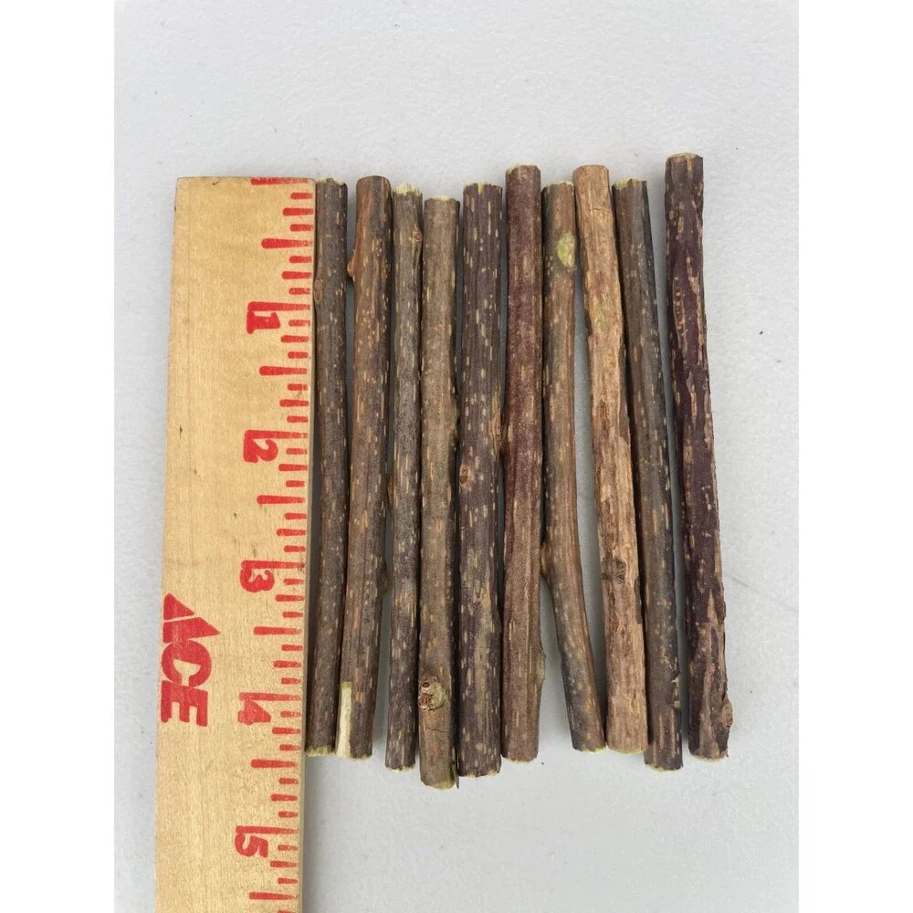 Matatabi Cat Chew Sticks All Natural Catnip Alternative | Silvervine Cat Toys